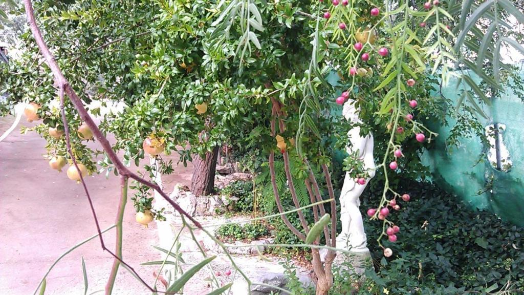 Alojamiento Rural La Caseria De Piedra Restaurante 하엔 외부 사진