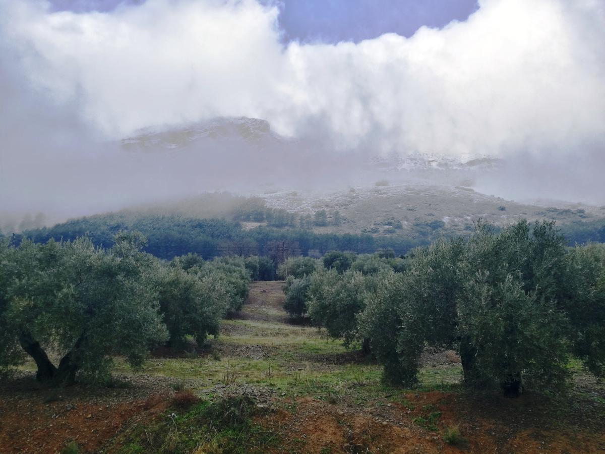 Alojamiento Rural La Caseria De Piedra Restaurante 하엔 외부 사진